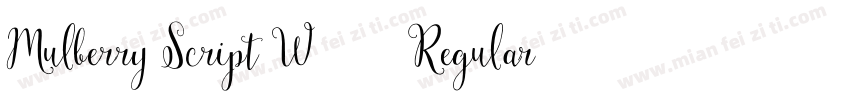 Mulberry Script W01 Regular字体转换